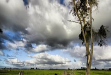 足协与上体大和成都体育学院签约共建足球学院.